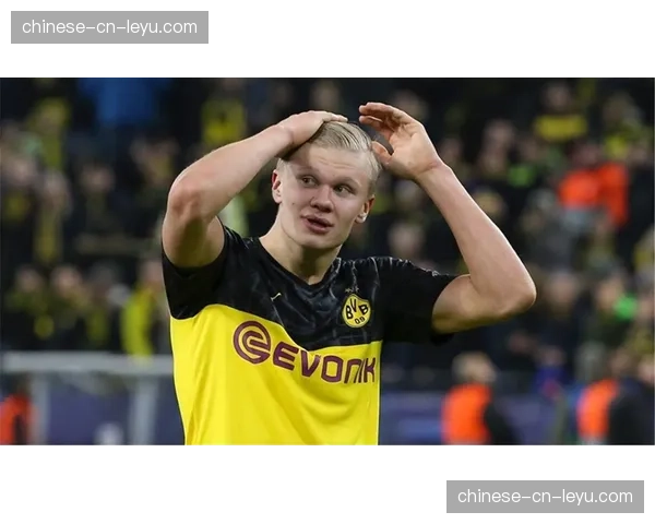 哈兰德接受BBC专访:对阵拜仁是巨大挑战,我已准备好迎接一切 哈兰德接受BBC专访:对阵拜仁是巨大挑战,我已准备好迎接一切